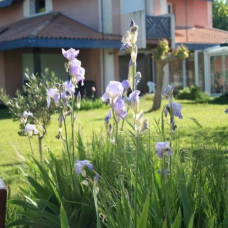 Villa Helianthe Audenge Extérieur photo