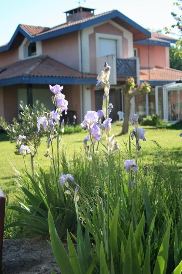 Villa Helianthe Audenge Extérieur photo